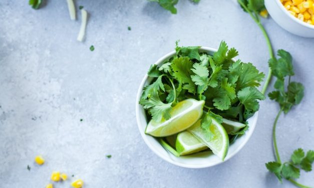 Fresh and Flavorful: The Ultimate Guide to Growing Cilantro Indoors